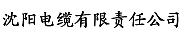 新第一版版主网电缆厂logo